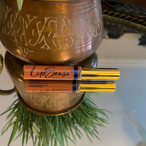 LipSense Other - New LIP-SENSE® MOISTURIZING GLOSS in Bella Matte